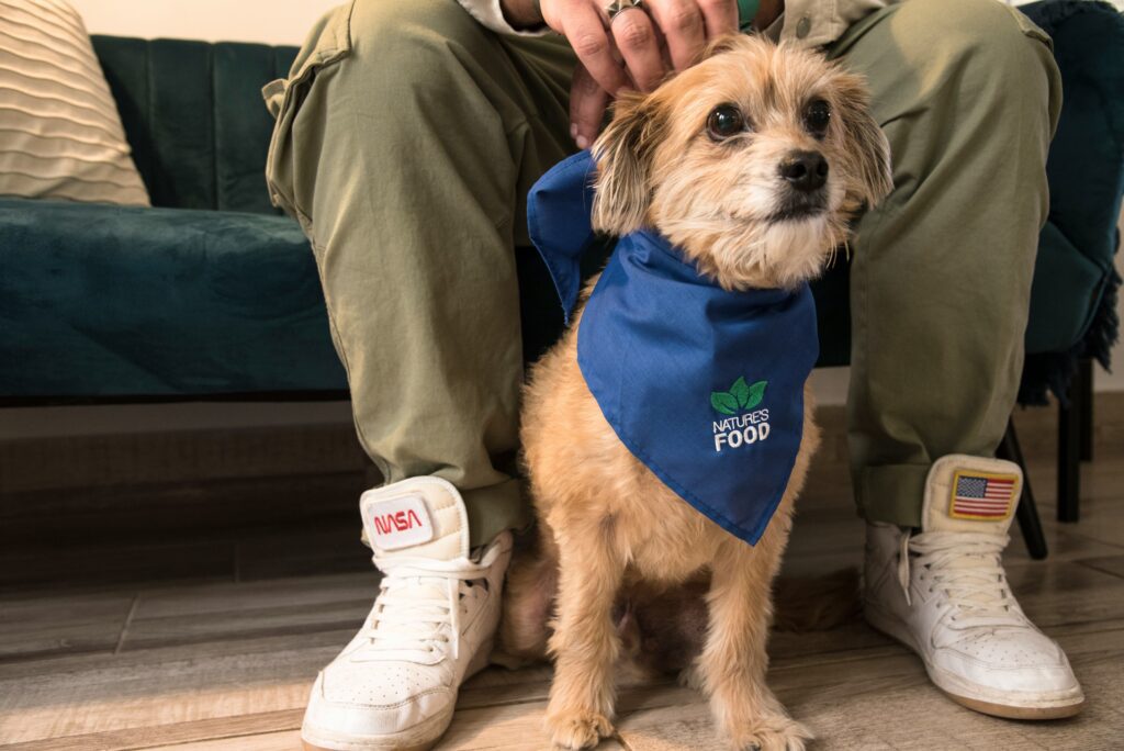 emergency-vet-cost-pet-age-calculator