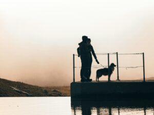 travel-with-pet-pet-age-calculator